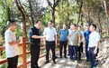 区县一把手现场督导！封山、巡防宣传…… 森林保卫战，重庆在行动