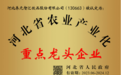 助力乡村振兴 推动产业发展，养元六个核桃斩获“河北农业产业龙头重点企业”殊荣