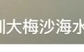 深圳大梅沙海水“粪”超标？官方回应