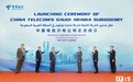 中国电信沙特公司在利雅得正式成立，已于全球53个国家和地区设立分支机构