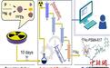 中国团队成功研发建立可同步制备镭-223和锕-225自动化分离系统