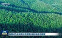 我国成为全球森林资源增长最快最多的国家