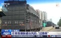 分流、转移、安置……“过路客”在湛江徐闻港安心度过台风天