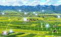 中国农科院发布十项2024中国农业科学重大进展