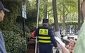 趵突泉的锦鲤被撑死好几条？景区称近期只死了一条且死因不敢100%肯定，鱼真能被撑死吗？