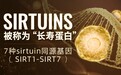 长寿蛋白Sirtuin激活新方式！BECHI细胞小金盒创新引入新一代专利核糖素