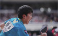 张本兄妹携手杀进世界杯单打8强，张本智和创日本男乒历史
