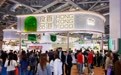 再创新高！共有331家香港企业参与第七届进博会