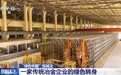 破旧立新、变废为宝……这些企业绿色转身