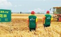 通联支付云商通助力“邮农场”麦田再获丰收