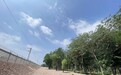 荒草地变景观带  潞源街道打造铁路沿线“绿色长廊”
