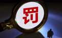 宝武镁业子公司超标排污被罚30万 年报信批存在不实