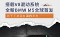 全新BMW M5全球首发 将于下半年在国内上市