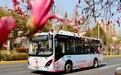 开启一场浪漫赏花之旅，上海浦东这条樱花限定公交车来了