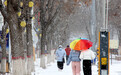 文化中国行丨当节气遇上典故：大雪藏养，烹雪煮茶