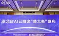 AI云陪诊“楚大夫”正式发布，湖北智慧医疗迈入全流程智能服务新时代