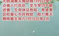 黑天鹅宝宝疑被不明物体击中受伤，济南大明湖景区：伤口已止血，或因人为