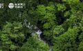 凤凰网专访罗晴秋｜文化上场：可持续增长的“路”与“桥”