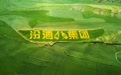 跨越五千里山河，汾酒以品质之约铸就清香新史诗