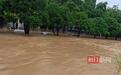 广西河池遭遇强降雨致道路积水，男子驾越野车拖出多辆泡水车
