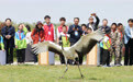 河北秦皇岛：放飞野生鸟类回归自然