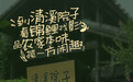 遇见清溪新滋味④丨清溪院子藏闲趣