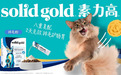 深耕宠物公益：Solid Gold素力高联合多方力量打造公益直播，助力人与动物和谐发展