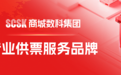 从默默无闻到行业第一，商城数科 - 沂链通走出了怎样的逆袭路？