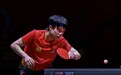 国乒最强对手缺席！王楚钦成夺冠最大热门，“海产姐妹花”再合体