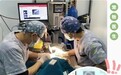 瑞派宠物医生：以仁心践初心，点亮西安宠物医疗“希领”之光