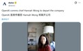 OpenAI通信一把手Hannah Wong明年1月离职