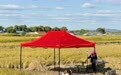 新华全媒头条|端牢中国饭碗 共护大国粮仓——写在第45个世界粮食日到来之际(5)