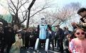 （神州写真）武汉赏樱季：机器人成“明星”科技色彩提亮春色