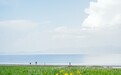 【这个城市有点潮】新疆博乐：看过≈去过！全网刷屏的赛湖已开启夏日“撞色”模式