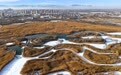 雪景如画(10)#