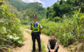 拼死逃离电诈园区，他横跨两国回到中国边境，途中在山上靠吃浆果、蚯蚓为生