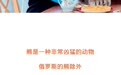 俄罗斯官宣禁止在家养熊！你们以前还真养啊？