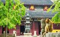 去寺庙吸猫的年轻人，把猫盘出了班味