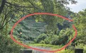 探访52岁女子误触氢氟酸身亡事发地，丈夫：已在老家给妻子办丧事