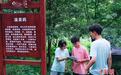 大学生寻药，如何书写中医药传承创新答卷？