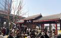 百年茶馆的“出走”：彭镇茶馆、鹤鸣茶社开新店，老茶馆探索新味道