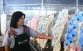 蝴蝶兰迎春上市 大陆台商忙出货