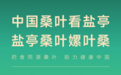 盐亭桑叶：全链布局定标杆，打造药食同源赛道“金叶子”