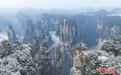 张家界雪后初霁 峰林如画