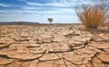 俄罗斯生物学博士柳德米拉·雅科夫列娃：俄罗斯南部地区面临荒漠化威胁