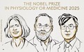 平分834万奖金！美日三位科学家爆冷拿下诺贝尔生理学或医学奖，为什么是他们？