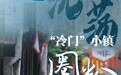 钱江观潮丨“冷门”小镇圈粉百万游客