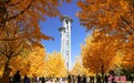 【这个城市有点潮】北京：切换高饱和模式 与斑斓秋色撞个满怀