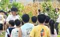 田野为课堂 汗水育新苗——暑期实践项目让“劳动最光荣”信念扎根青少年心田