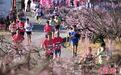 宁波奉化“桃花马”开跑，万名跑者感受春日浪漫